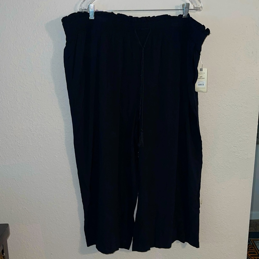 Terra & Sky pants size 20W/ 22W